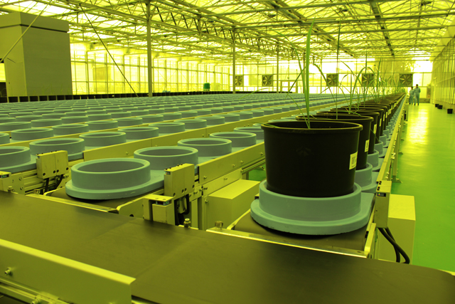 萬賓科技攻克“十三五”關(guān)鍵技術(shù)和產(chǎn)品,實現(xiàn)作物表型平臺中國智造(圖4) 萬賓科技攻克“十三五”關(guān)鍵技術(shù)和產(chǎn)品,實現(xiàn)作物表型平臺中國智造(圖4)