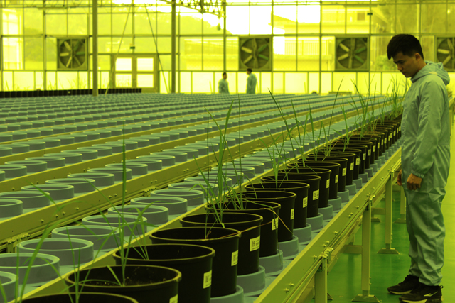 萬賓科技攻克“十三五”關(guān)鍵技術(shù)和產(chǎn)品,實現(xiàn)作物表型平臺中國智造(圖3) 萬賓科技攻克“十三五”關(guān)鍵技術(shù)和產(chǎn)品,實現(xiàn)作物表型平臺中國智造(圖3)