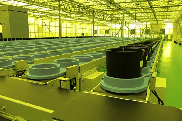 省委副書記率省委農辦領導調研水稻表型智慧平臺(圖3)